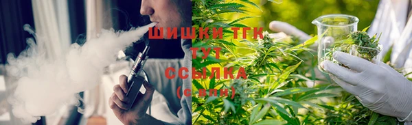 ГАЛЛЮЦИНОГЕННЫЕ ГРИБЫ Бородино