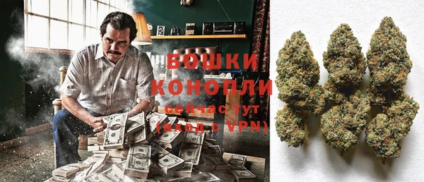 сатива Бугульма
