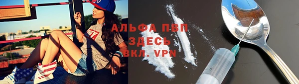 ГАЛЛЮЦИНОГЕННЫЕ ГРИБЫ Бородино