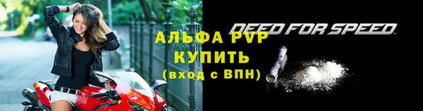 ГАЛЛЮЦИНОГЕННЫЕ ГРИБЫ Бородино
