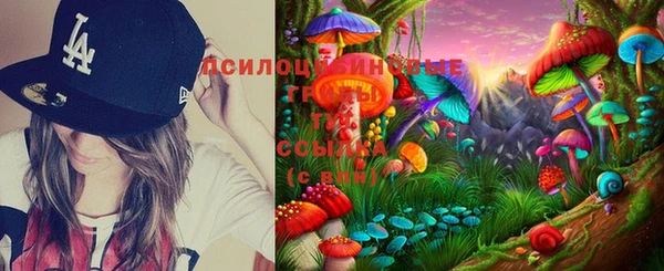 сатива Бугульма