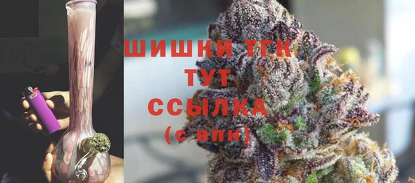 ГАЛЛЮЦИНОГЕННЫЕ ГРИБЫ Бородино
