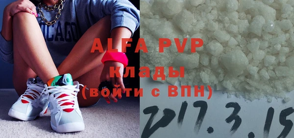 ГАЛЛЮЦИНОГЕННЫЕ ГРИБЫ Бородино