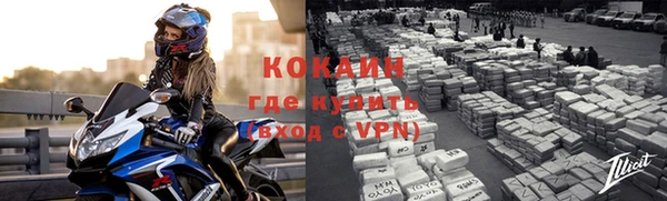 ГАЛЛЮЦИНОГЕННЫЕ ГРИБЫ Бородино