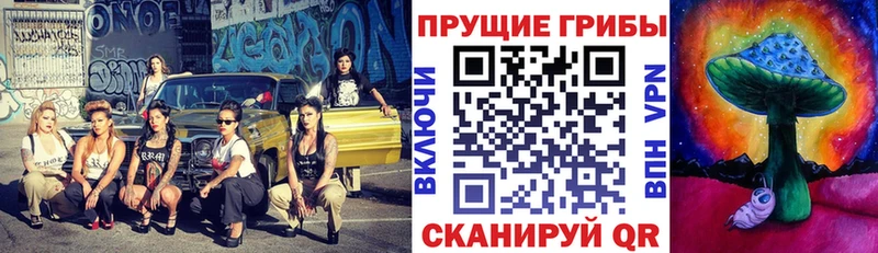 Галлюциногенные грибы GOLDEN TEACHER  Купить где  Суоярви 